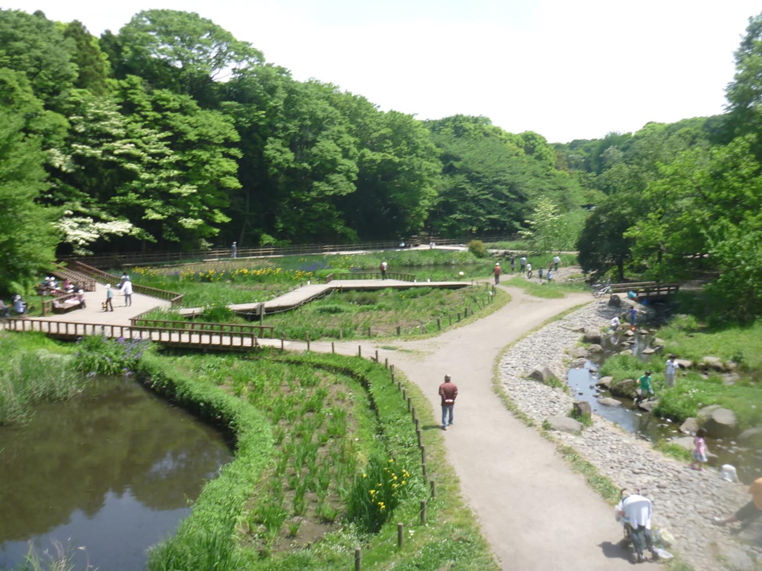 大和市泉の森